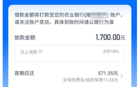 安逸花半夜申请能下款吗？实测 9100 元到账，24 小时审核真相揭秘