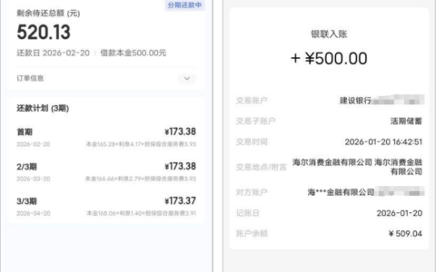 宜口袋 500 元真能秒到？开通会员 10 分钟到账，实测攻略来了！