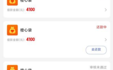 橙心袋第二笔下款实测：掌握这些技巧，三天内顺利到账！