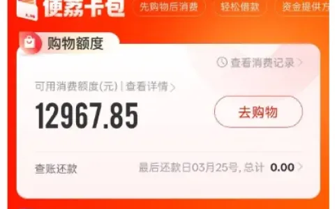 便荔卡包购物额度如何变现？盘点几种常见思路与操作要点