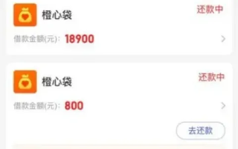 橙心袋借款申请实操全攻略，持牌机构正规放款，审批快速且多笔借款可申请