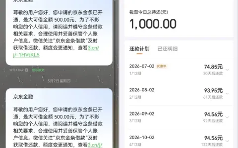 京东金条原有额度多次借款遭拒，注销同实名小号隔天重试，月查询十几次仍顺利下款 1000 元的实测解析