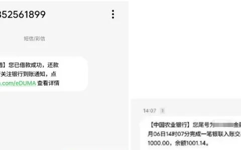 抖音放心借审核门槛放宽，多次申请终成功，1000 元额度顺利获批实测