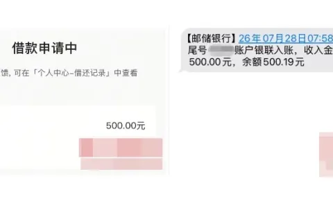 抖音放心借没入口申请还被拒？从皮皮虾入口提交，间隔三个月 500 元秒到
