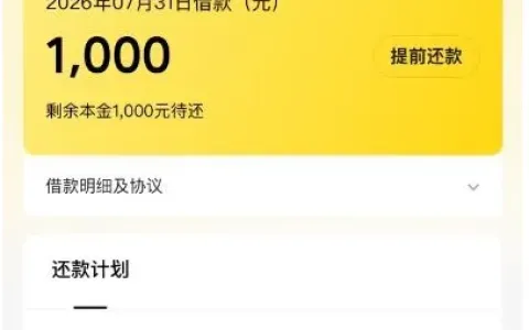 美团生活费有额度一直借不出？间隔三四个月再试，1000 元顺利下款