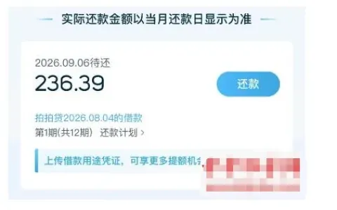 拍拍贷申请通过率高吗？本来没抱希望，等待两天后小额顺利到账