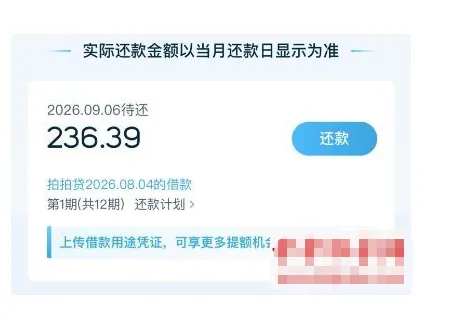 拍拍贷申请通过率高吗?本来没抱希望,等待两天后小额顺利到账
