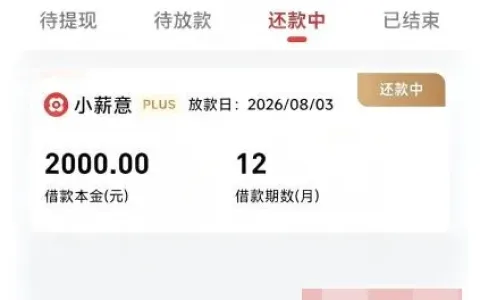 小薪意现在还能正常申请吗？老牌信贷产品实测，2000 元分 12 期成功下款
