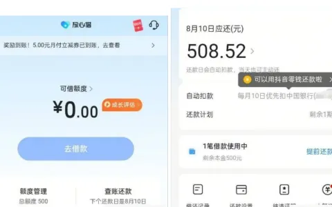 放心借获批 500 元小额额度，信用卡多年逾期未结清也能下款，低门槛小额周转实测参考